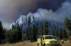Anyone starting a wildfire may be held responsible for that fire until it is out.