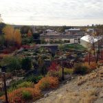 Firewise Demonstration Garden, College of Western Idaho/Idaho Botanical Gardens, Boise, ID.