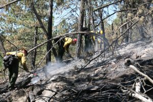 Mopping up is hard dirty work, but essential to fully put out a wildfire. 