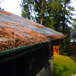 Keep gutters and roofs free of debris.