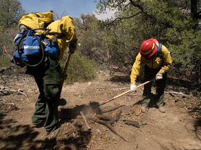 Cutting a new fireline.