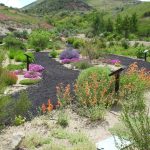 Firewise Demonstration Garden, Idaho Botanical Gardens, Boise, ID.