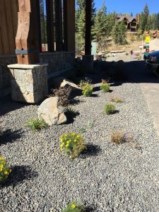 Firewise Demonstration garden at Tamarack Resort, Donnelly, ID.