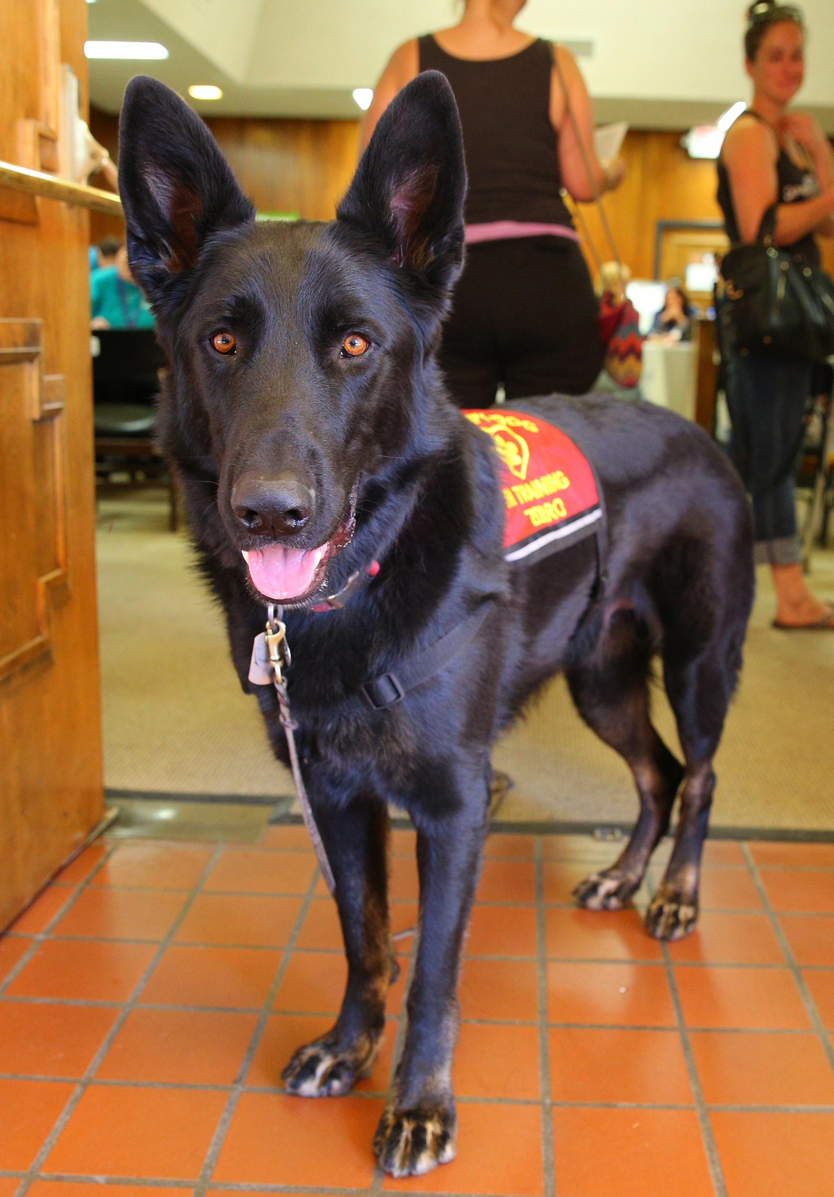 Evacuating Pets & Large Animals - Idaho Firewise